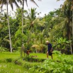 Ubud Indonesia