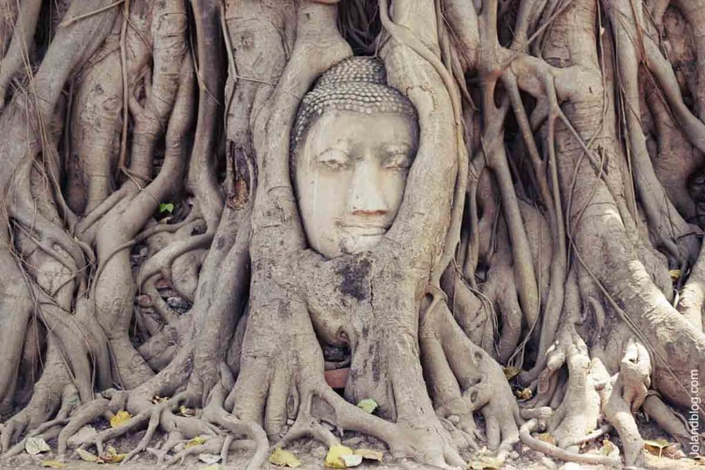 tailândia - sudeste asiático - ayutthaya