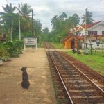 O final. Sri Lanka e a certeza de um regresso.
