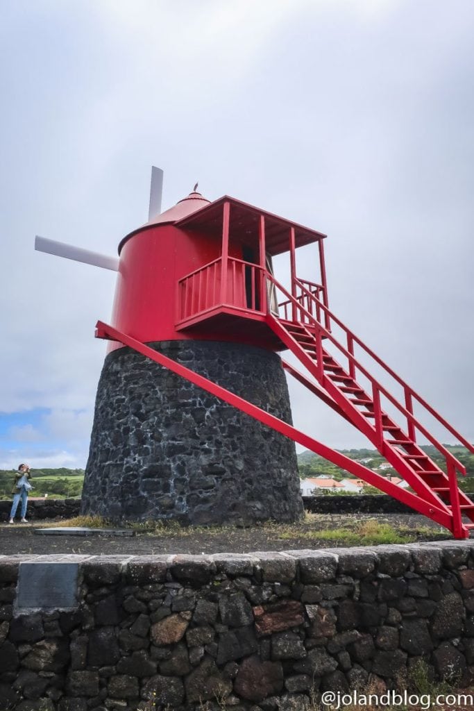 Lagido da Criação Velha, Ilha do Pico, Açores