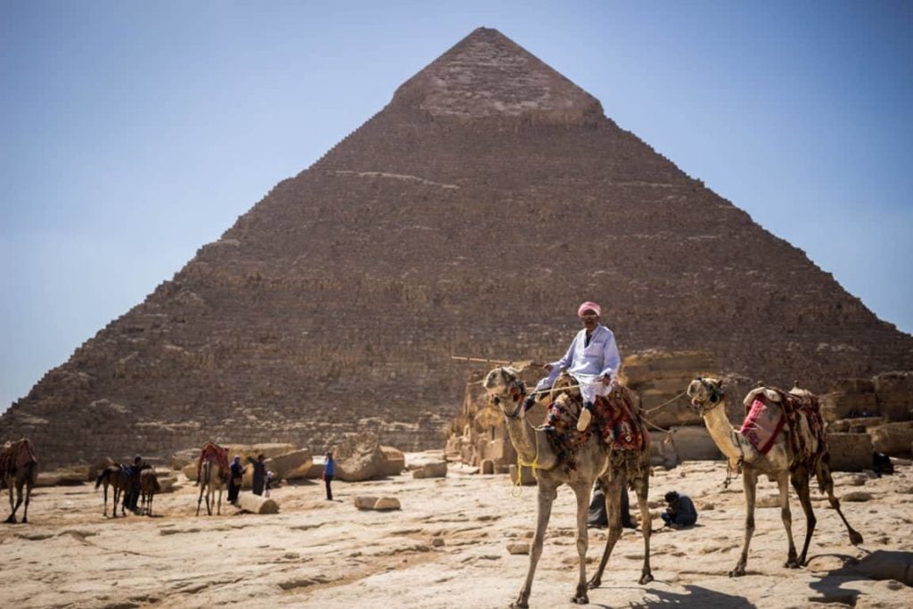 Camelos no Egito com pirâmide de fundo