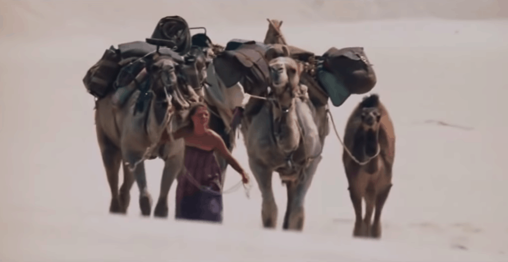 Tracks - Filmes sobre Viagens