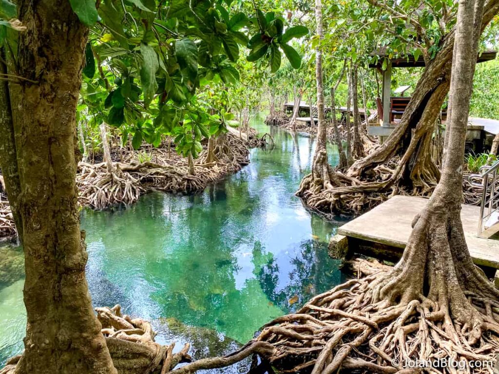 Parque Natural Tha Pom Khlong Song Nam em Krabi - Roteiro de Viagem pelo Sul da Tailândia