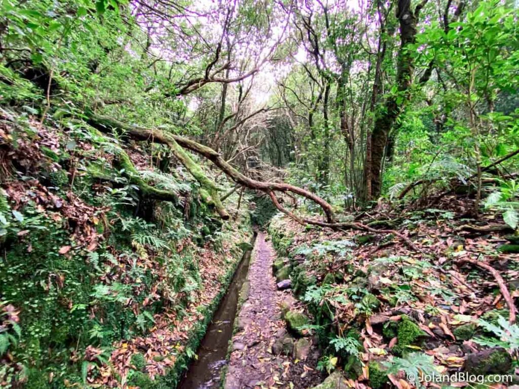 Levada do Caldeirão Verde/Caldeirão do Inferno | O que ver e fazer na Ilha da Madeira