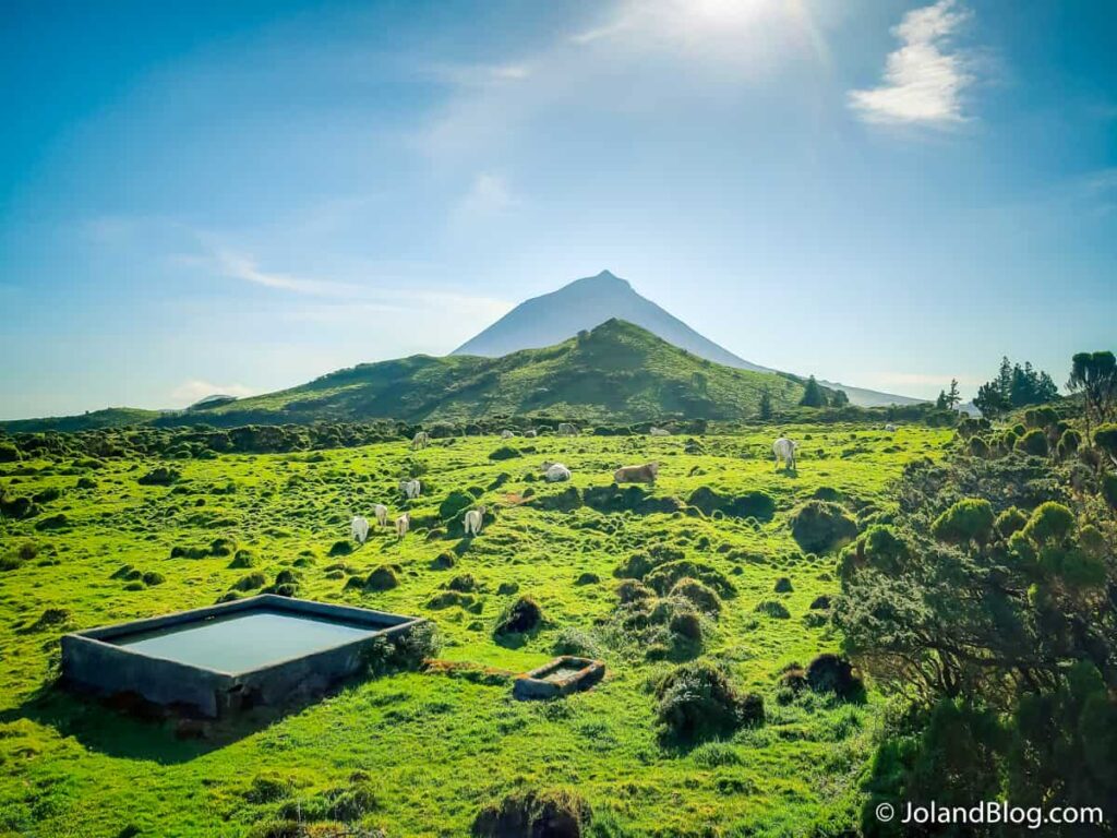 O que visitar na Ilha do Pico, Açores