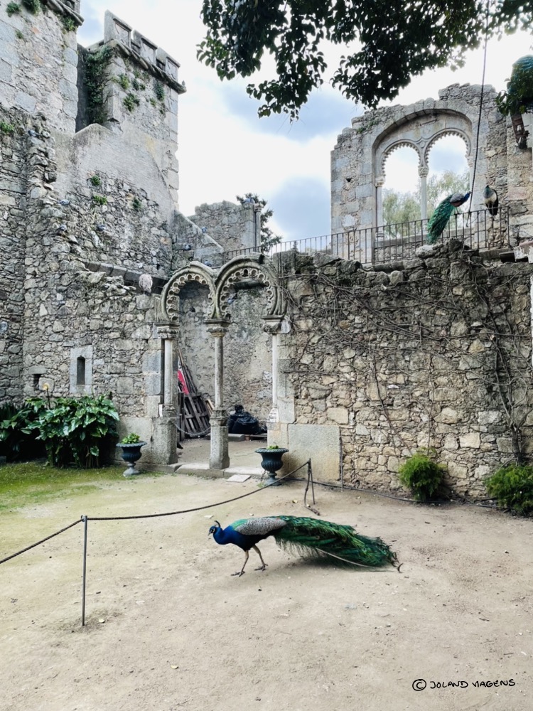 Ruinas fingidas | Locais a visitar em Évora